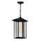 Cwi Lighting Crawford 1 Light Black Outdoor Hanging Light 0417P9-1-101 - alternate 1